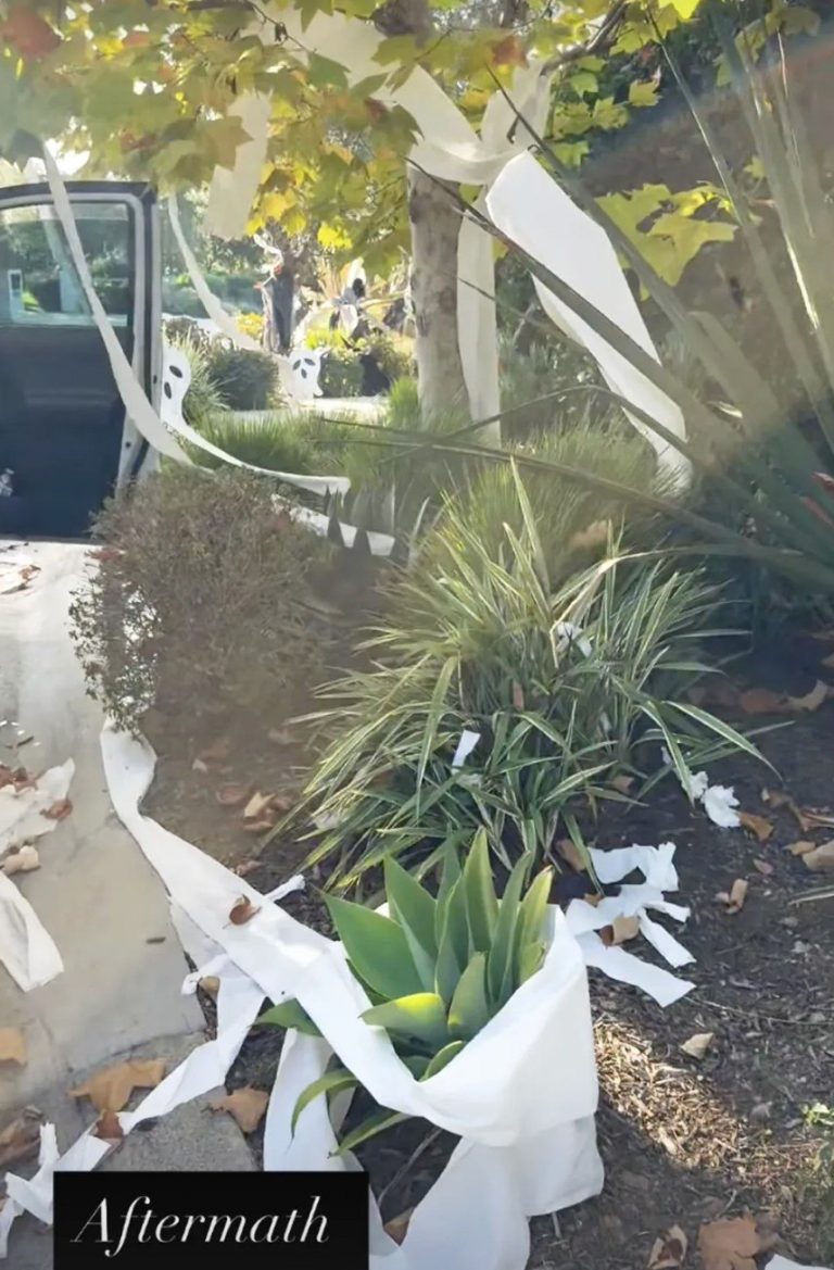 HGTV Star Christina Haack’s $12 Million California Home Is Toilet-Papered in Halloween Prank