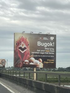 Animal Kingdom Foundation Launches Hard-Hitting “Bugok!” Billboard Calling Out False Cage-Free Claims