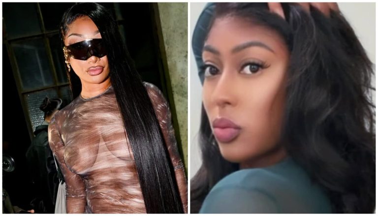 Megan Thee Stallion Moves To Collect $75K, Blogger Wants Delay