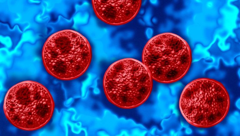 Trump’s CDC Cuts Under Fire After Cyclospora Outbreak
