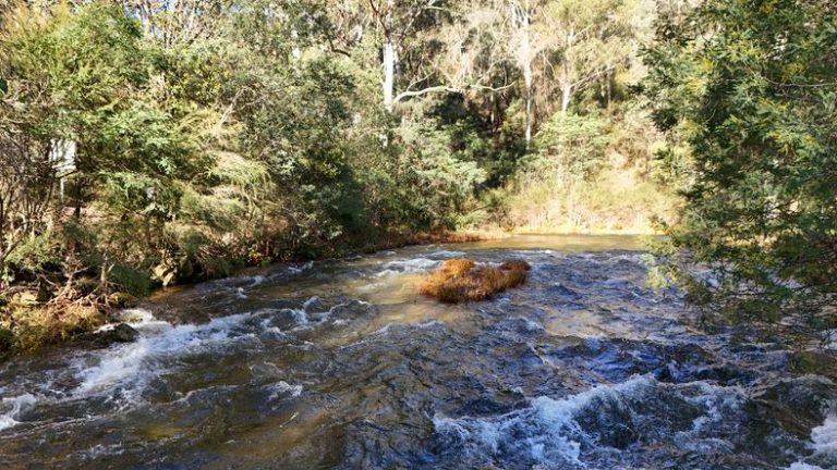 What Does ‘Quiet On the Creek’ Mean?