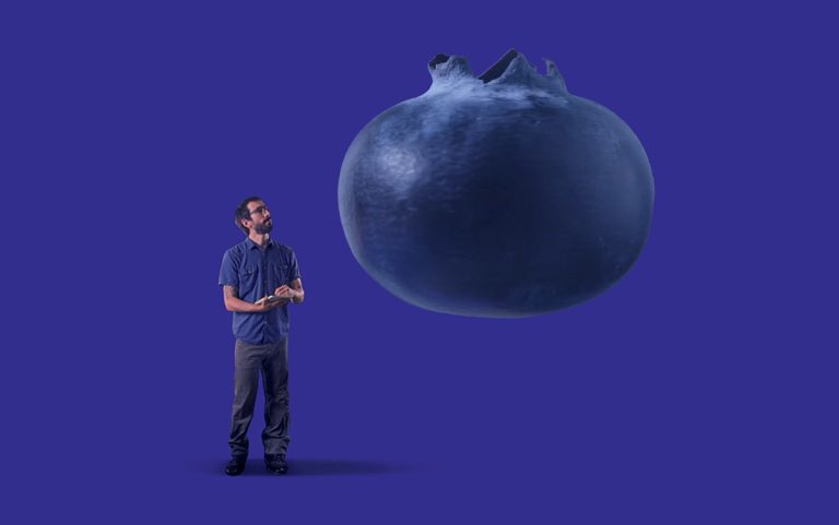 Do My Grocery Store Blueberries Come From Farms Where Workers Were Harmed? — ProPublica