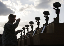 McRaven Misfires on Public Execution